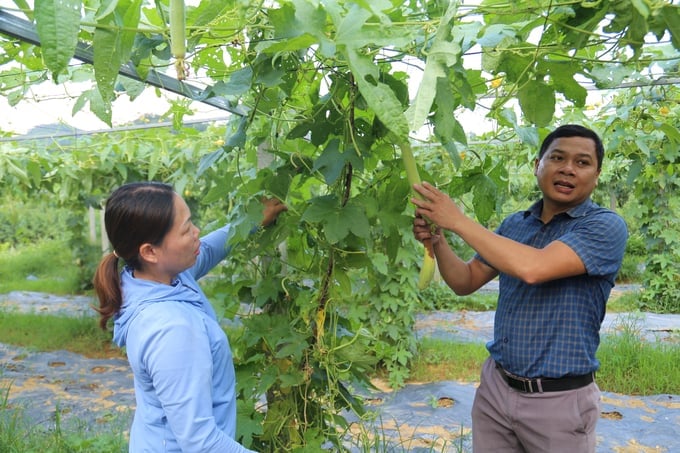 Cán bộ khuyến nông xã Thái Niên hướng dẫn người dân chăm sóc rau màu đảm bảo kỹ thuật. Ảnh: Hải Đăng.