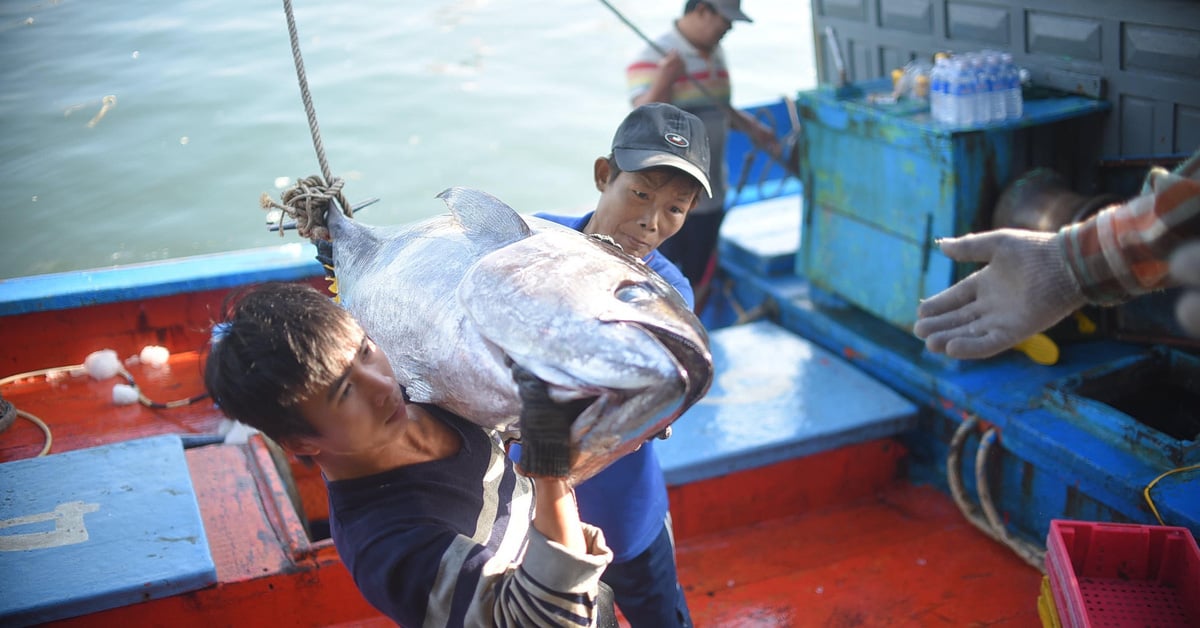 Le pays le plus riche du monde augmente sa consommation de homard et de thon vietnamiens