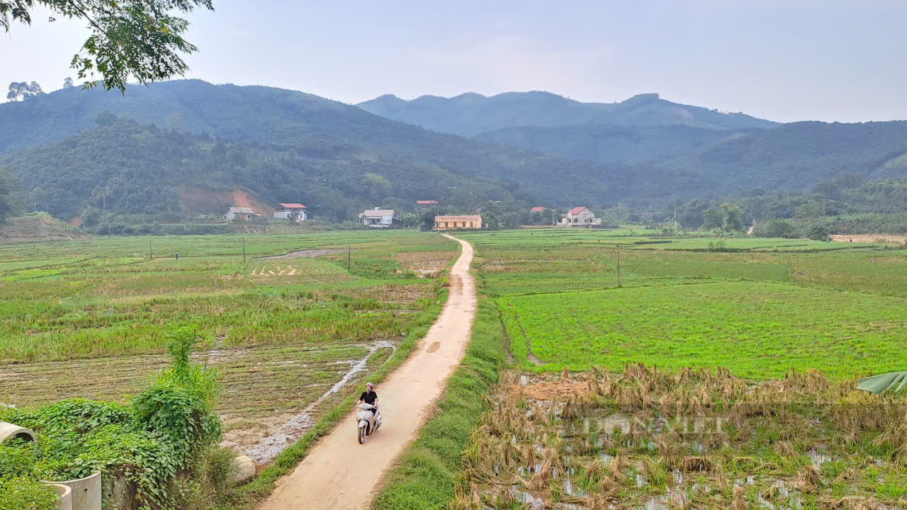 Xã Tân Hợp phát huy nội lực, nâng cao tiêu chí, tạo đà vững chắc để về đích nông thôn mới kiểu mẫu  - Ảnh 6.