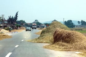 ป้องกันฟางและตอซังไม่ให้แห้งบนถนน