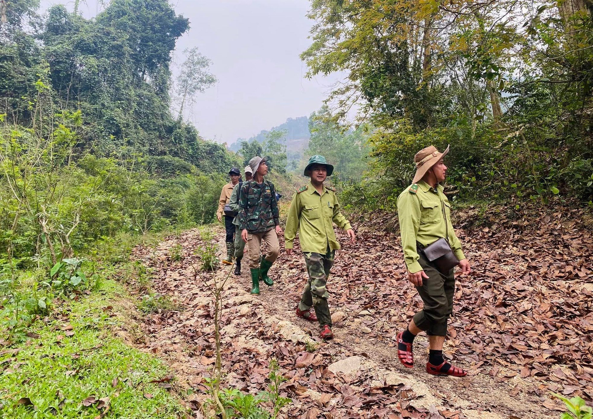 The journey of forest rangers setting camera traps in Pu Huong Nature Reserve photo 4