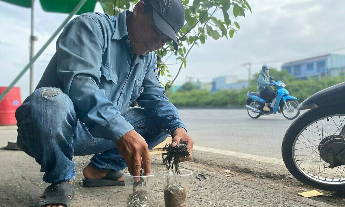 Cửa ngõ TP HCM liên tục bị rải đinh