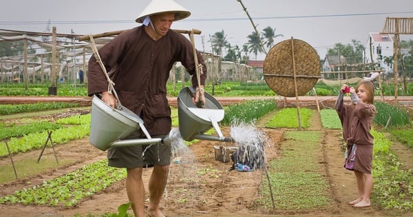 Định hướng các chính sách phát triển bền vững