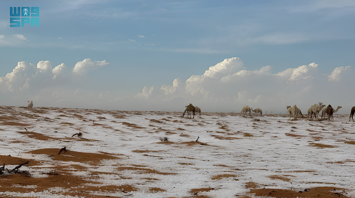 Des chutes de neige inhabituelles à Al-Jawf en Arabie saoudite reflètent le changement climatique au Moyen-Orient. (Photo : SPA)