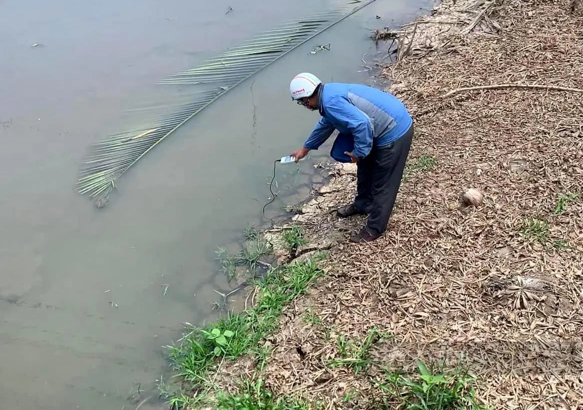 Khốc liệt hạn mặn, vì sao ở Tiền Giang đang chống hạn mặn bằng nước mặn?- Ảnh 2.