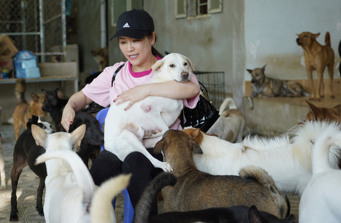 Zweimal im Monat reist die Schauspielerin von Ho-Chi-Minh-Stadt nach Ba Ria – Vung Tau, um die Hunde zu besuchen, die sie betreut. Foto von : Dang Khoa
