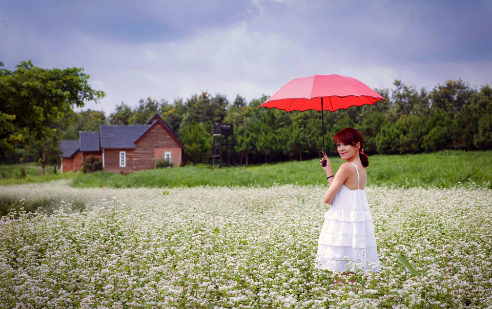 Tourists visit the buckwheat flower field in Ha Giang. Photo: Hoai Nam