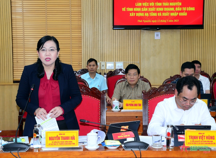 Comrade Nguyen Thanh Hai spoke at the meeting.