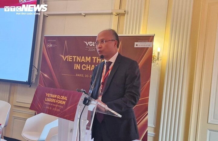 Mr. Dinh Toan Thang, Vietnamese Ambassador to France, represented the guests attending VGLF and spoke at the opening session.