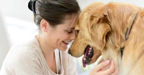 Cómo superar el dolor y la depresión tras la pérdida de una mascota