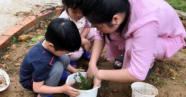 Trường mầm non không nhận quà ngày 8-3, chỉ nhận ‘cây con có rễ’