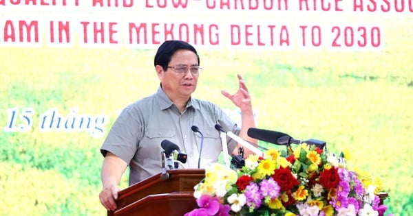 Prime Minister outlines 5 directions to create a "revolution for rice plants"