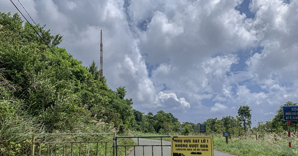 Many high-risk landslides appear on Son Tra mountain