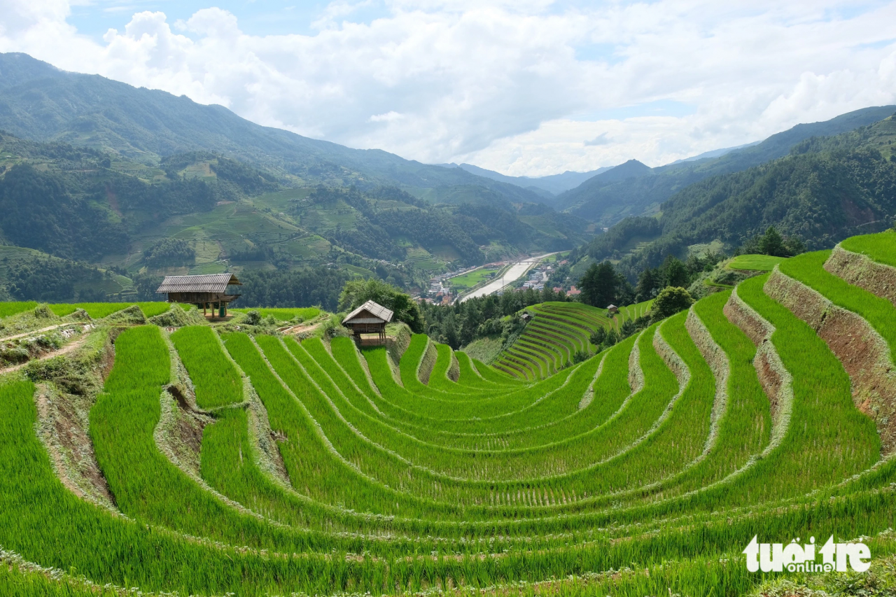 Sau lũ, những thửa ruộng bậc thang lên xanh ngắt đẹp ngỡ ngàng - Ảnh: NGUYÊN BẢO