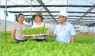 正しい政策と方向性から生まれる繁栄