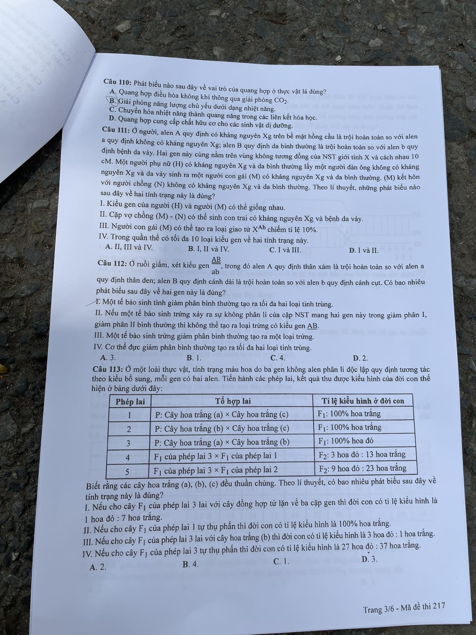 Đề thi môn Sinh học tốt nghiệp THPT 3 năm gần đây có đáp án tất cả mã đề- Ảnh 3.