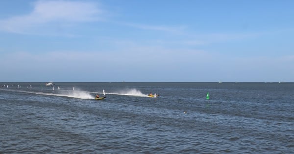 The "flying" shells at the mouth of the Doc River in Ca Mau make people flock to watch the excitement.