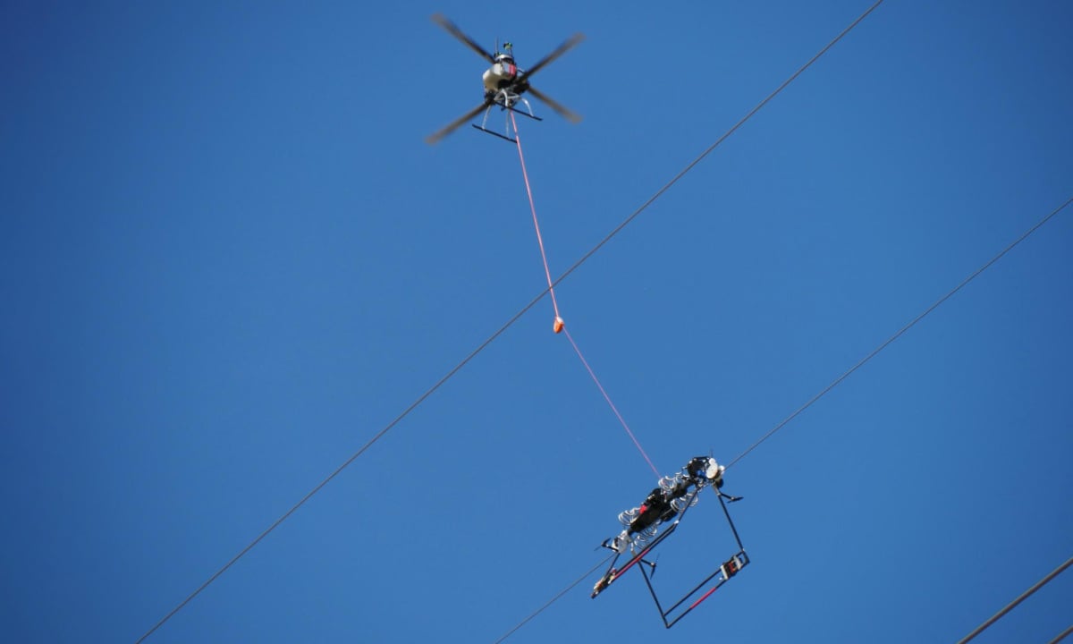 Des drones combinés à des robots manipulateurs de câbles pour sauver les oiseaux