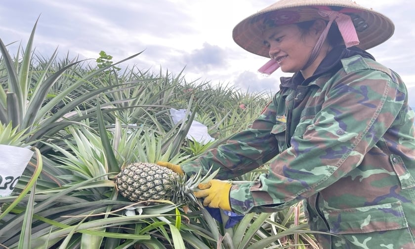 Quỹ Hỗ trợ nông dân hoạt động không vì mục tiêu lợi nhuận ảnh 1