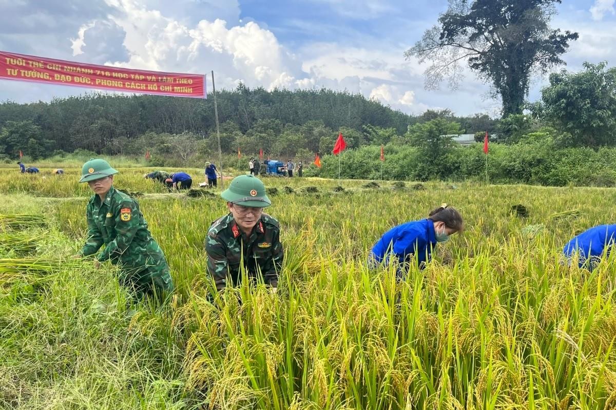 Xã biên giới Ia Đal lãnh đạo phát triển kinh tế, tạo 'đòn bẩy' xây dựng nông thôn mới