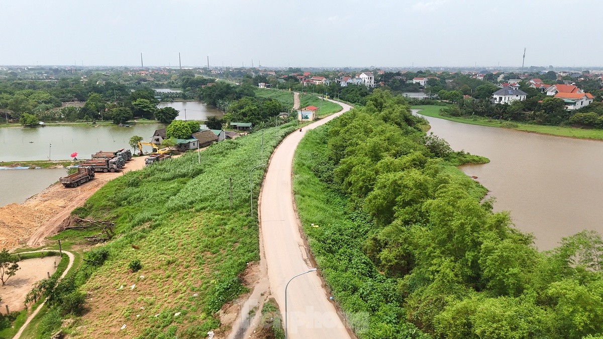 Hanoi dépense près de 400 milliards de VND pour rénover la digue du fleuve Rouge à travers le district de Phu Xuyen, photo 13