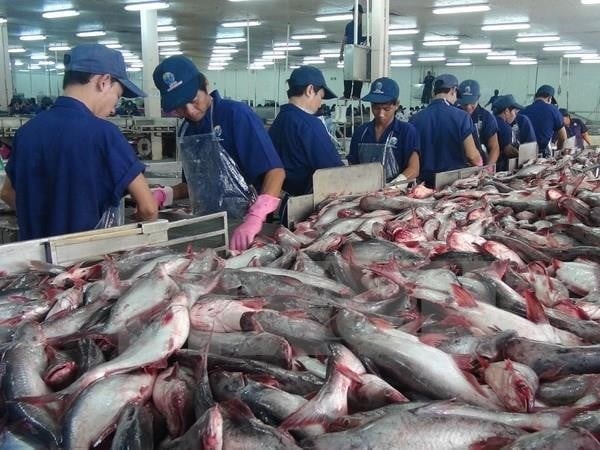 Abschluss der Verwaltungsüberprüfung der Antidumpingzölle auf in die USA exportierten vietnamesischen Pangasius