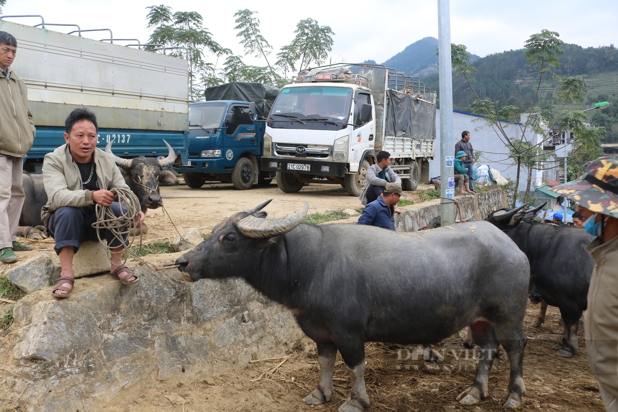 Nhộn nhịp chợ trâu lớn nhất vùng Tây Bắc - Ảnh 35.