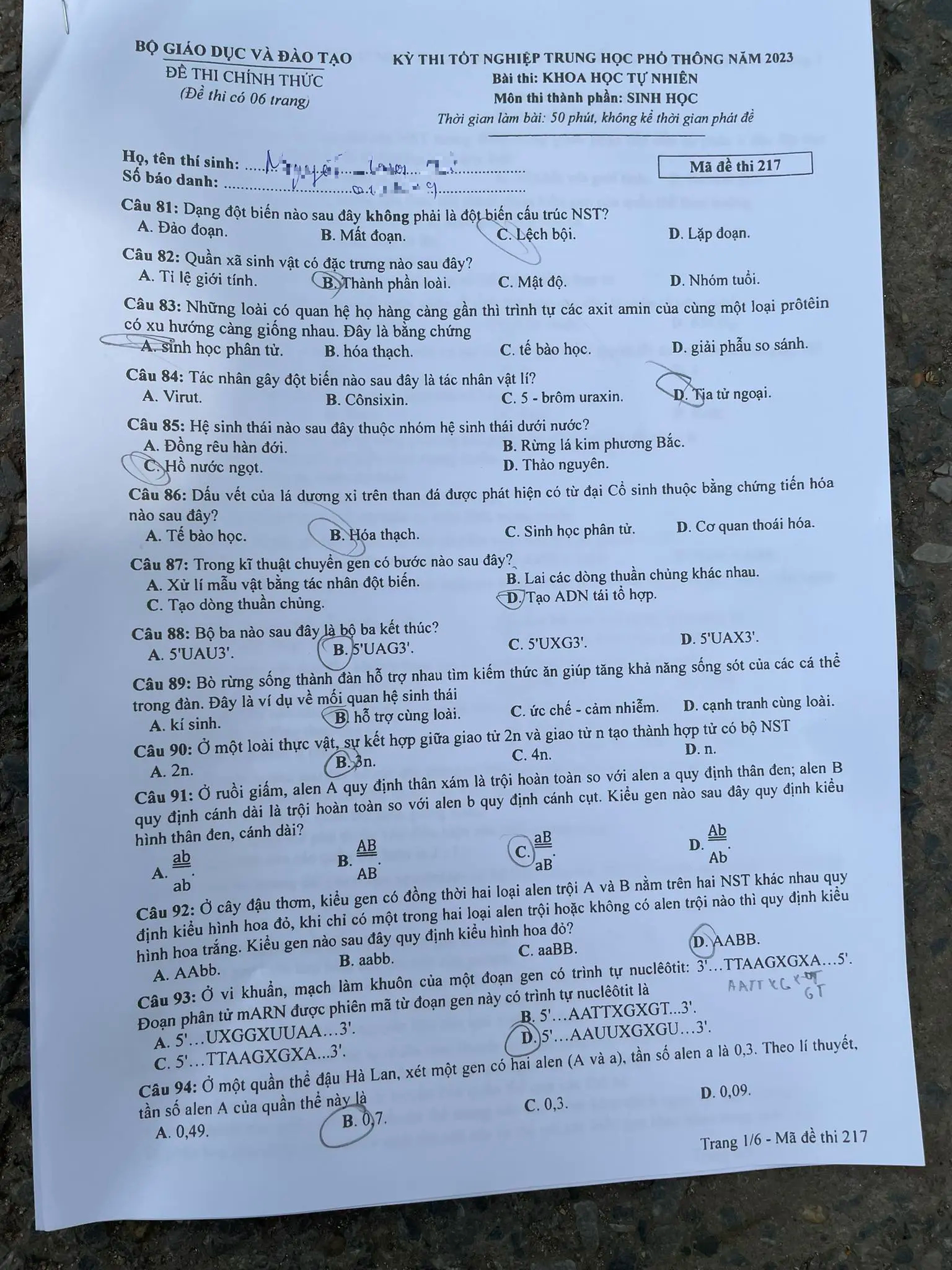 Đề thi môn Sinh học tốt nghiệp THPT 3 năm gần đây có đáp án tất cả mã đề- Ảnh 1.