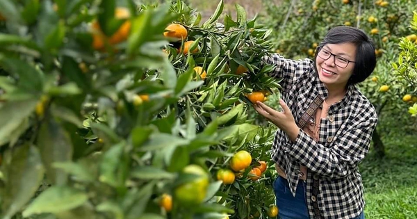 بناء نظام بيئي يربط بين رائدات الأعمال