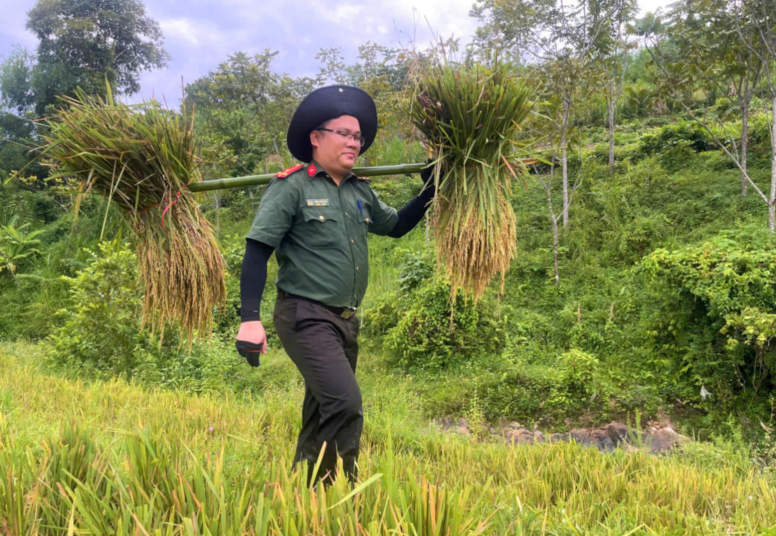 Nghệ An: Công an, cảnh sát, thanh niên xuống đồng giúp dân thu hoạch lúa hè thu 