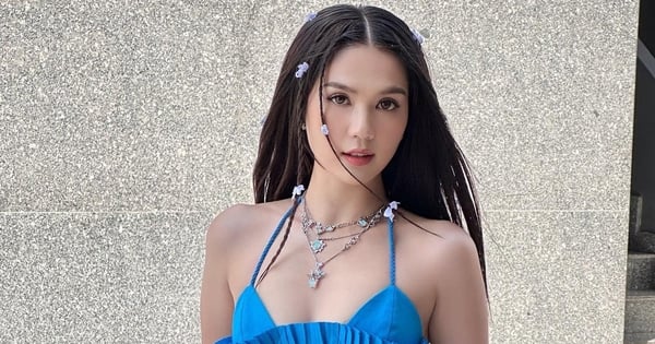 Model Ngoc Trinh was arrested, a series of statements about love and tycoons that once caused a stir were suddenly "dug up"