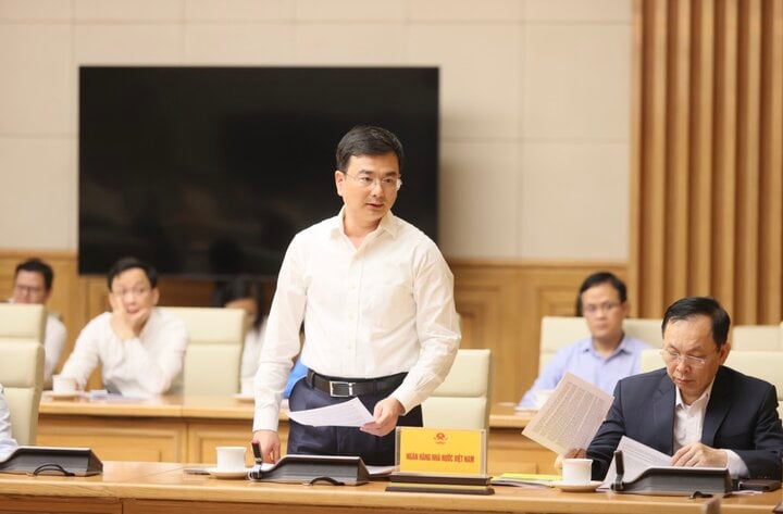 Deputy Governor of the State Bank Pham Thanh Ha at the meeting. (Photo: VGP)