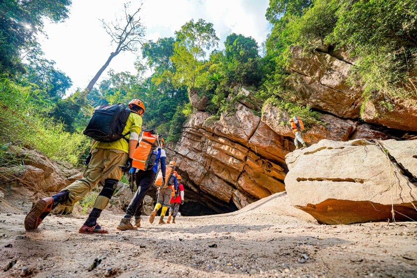 الهدف من مجلس إدارة منتزه فونج نها - كي بانج الوطني وشركة Jungle Boss Tours هو تقديم تجارب سفر ومغامرة فريدة من نوعها للزوار. الصورة: ليو نجوين