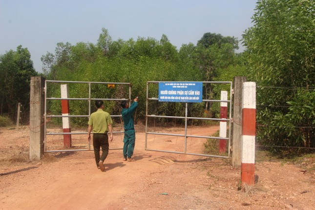 Wild elephant 'breaks' tree to make overpass to escape film fence 1