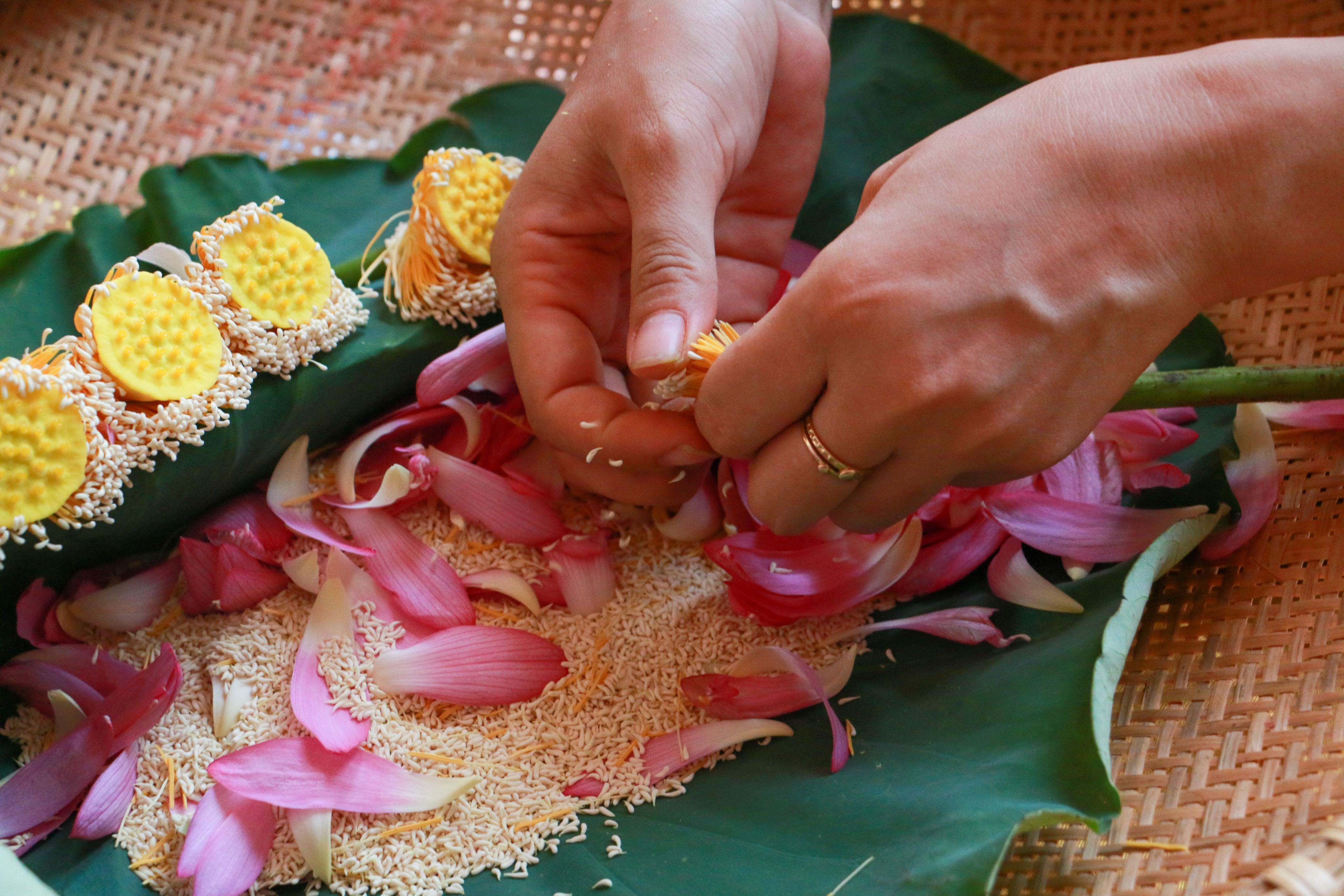 Tinh hoa trong mỗi chén trà