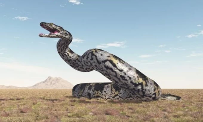 Vasuki Indicus could compete with Titanoboa for the title of largest snake on the planet. Photo: iStock