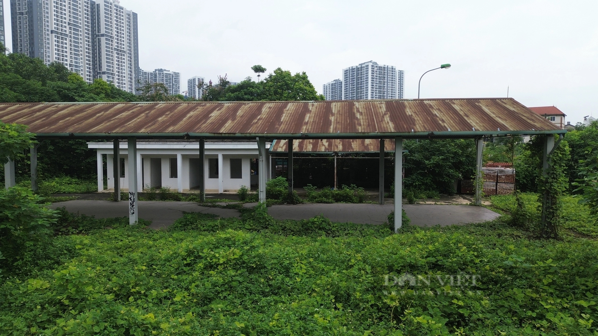 Chợ bỏ hoang ở Hà Nội: Dây leo chằng chịt, kim tiêm vương vãi tại ngôi chợ hơn 20 tỷ đồng- Ảnh 3.