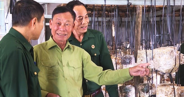 Dans quel type de méthode de culture de champignons un agriculteur de Ha Tinh peut-il investir des milliards de dongs, et le patron et les ouvriers ont tous de bons salaires ?