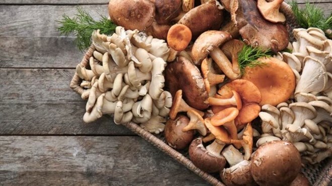 5 причин, почему грибы шиитаке являются суперпродуктом