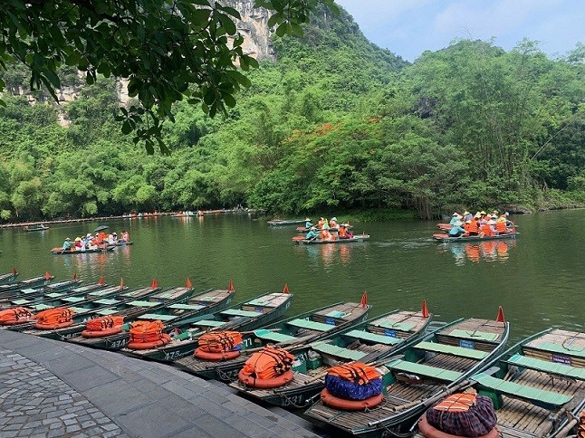 Sắc vàng Tam Cốc-Tràng An làm xao lòng du khách