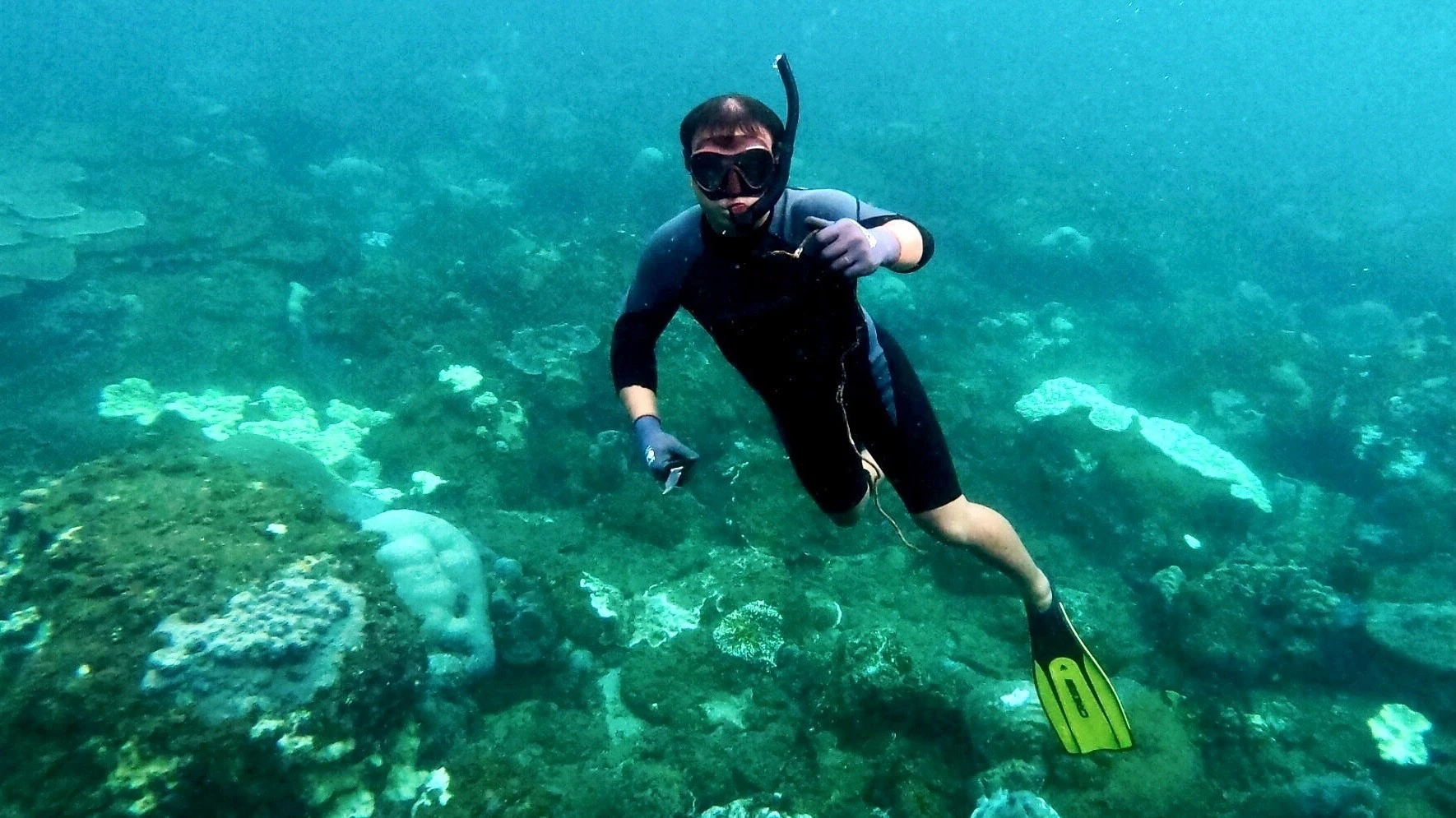 Explora el mágico océano con el turismo de buceo foto 5