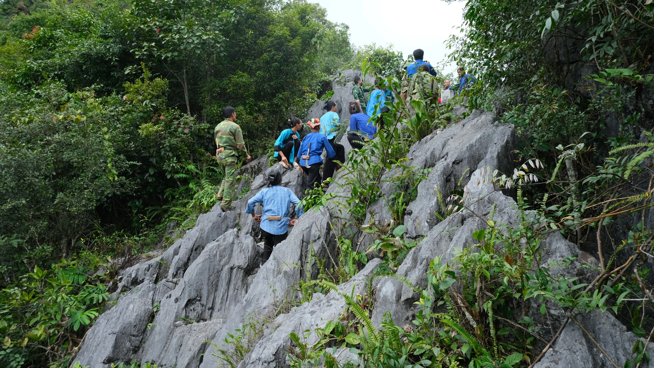 Bài dự thi cuộc thi viết 