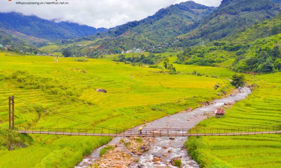 Peaceful Tu Mo Rong