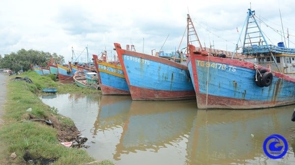 Tien Giang sensibilise les pêcheurs à la lutte contre la pêche INN