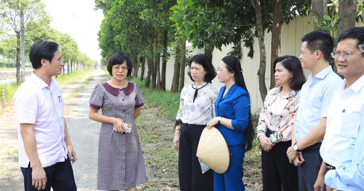 El distrito de Dong Anh ha recuperado y reconvertido más del 70% de sus tierras destinadas al cultivo de arroz.