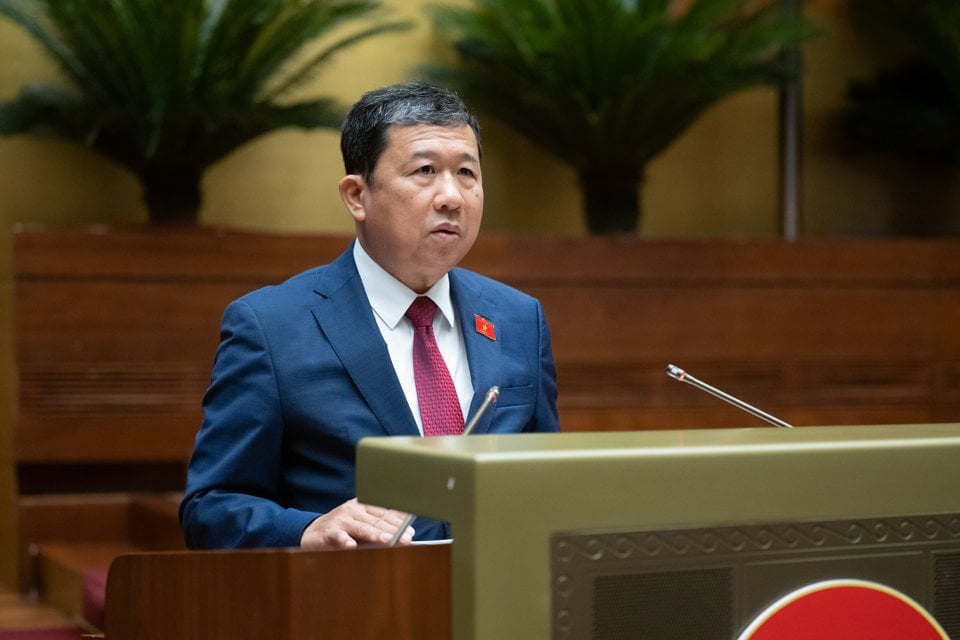 Chairman of the National Assembly's Foreign Affairs Committee Vu Hai Ha presented the Report.