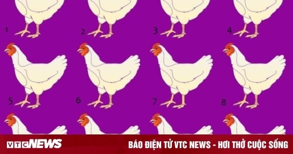 Only 1% of people can find the different chicken