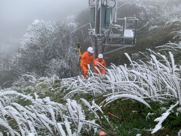 Đỉnh Mẫu Sơn xuất hiện băng giá khiến cho nhiều đường dây, lưới điện và trạm biến áp bị bám đọng băng.