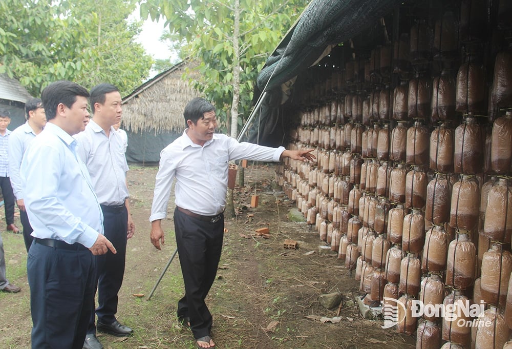 Phát triển thị trường cho sản phẩm OCOP của địa phương Phát triển thị trường cho sản phẩm OCOP của địa phương