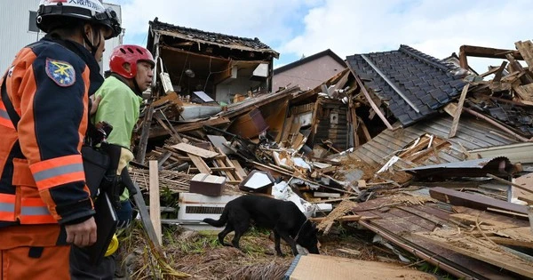 Hund rettet alten Mann bei Erdbeben in Japan